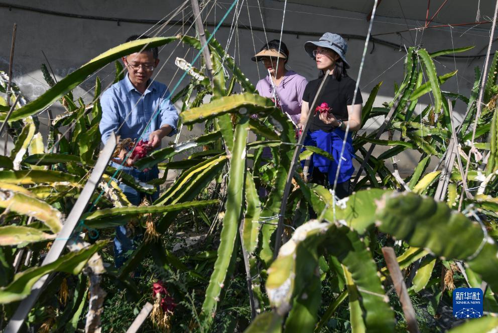 免费注册送礼金